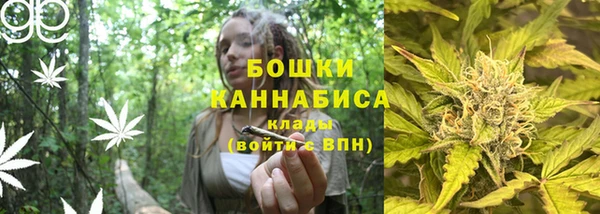 Альфа ПВП Карпинск