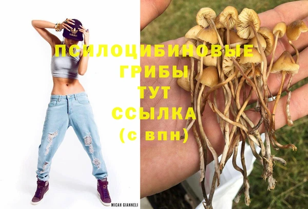 ешки Баксан