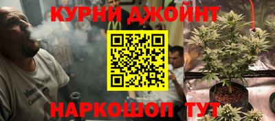 прущие грибы Моздок