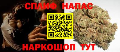 прущие грибы Моздок