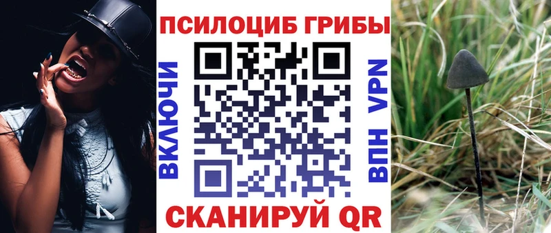 Галлюциногенные грибы мицелий  Черняховск 