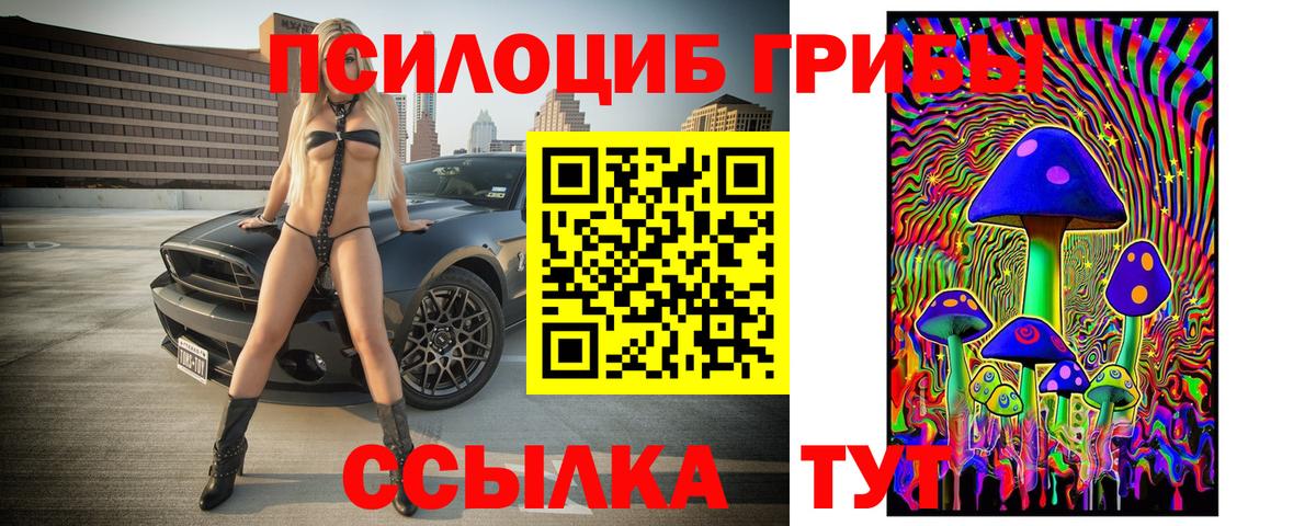 Псилоцибиновые грибы прущие грибы Черняховск
