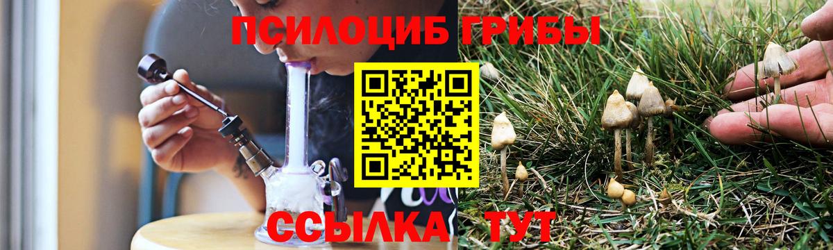 Черняховск  Псилоцибиновые грибы Cubensis  цены наркотик  Галлюциногенные грибы прущие грибы  Вход с VPN 
